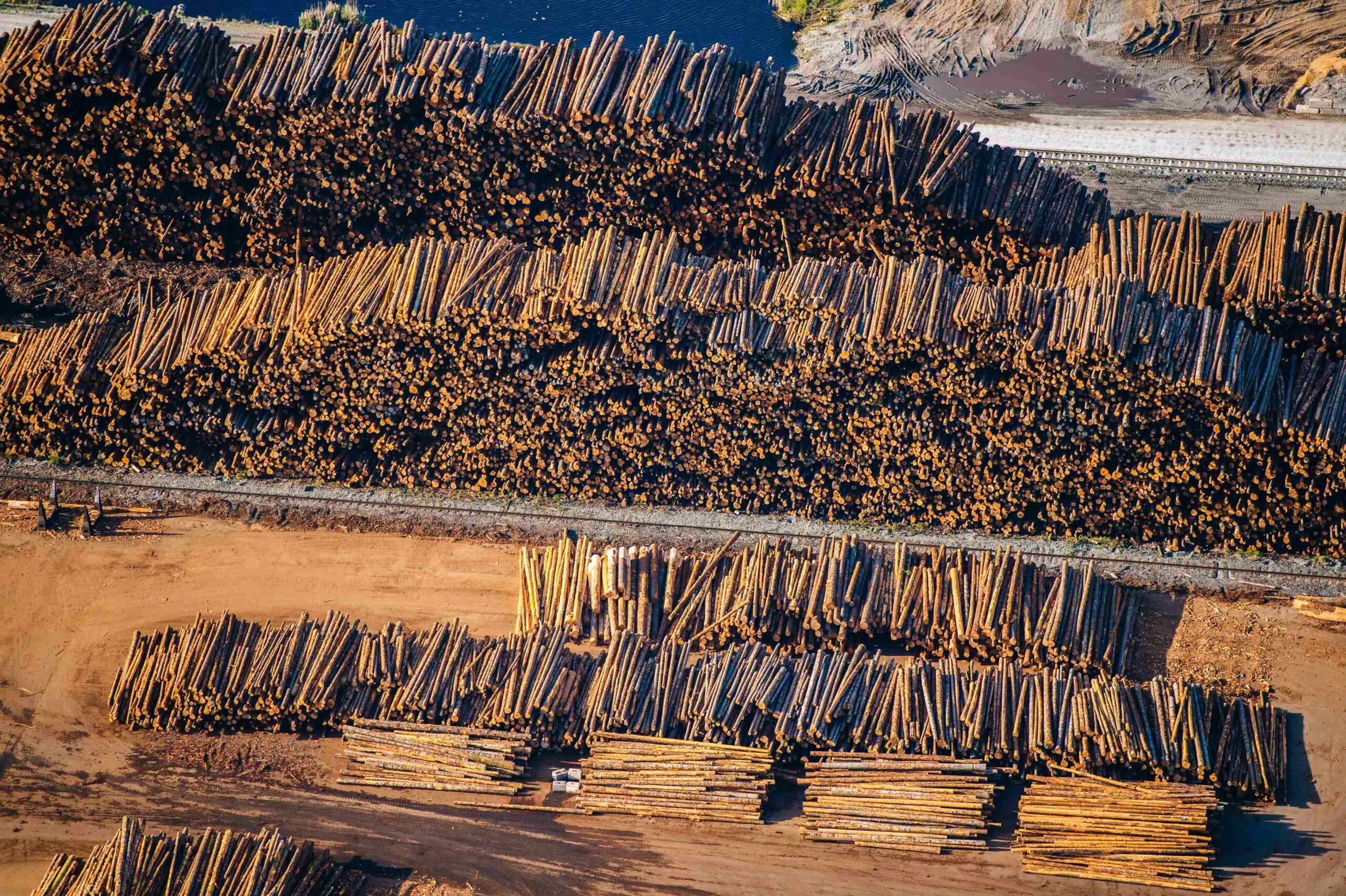 Лесная промышленность Украины столкнулась с блокадами на Черном море, а также с препятствиями на западном побережье. (Фото: Envato Elements)